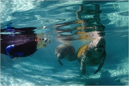 Plantation Adventure Center