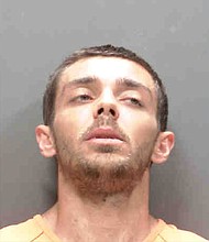 A man has been arrested after he allegedly used a tile scraper to kill an 8-pound chihuahua during a domestic dispute.