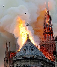 Birds fly away from the Notre Dame cathedral as flames reach the rooftop.