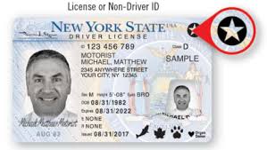 drivers license number nj lookup