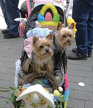 Thousands of people, including the Easter Bunny, stroll along Monument Avenue for what may be the final edition of Easter on Parade. Yorkshire terriers Lucy, 9, left, and Desi, 5, happily pause for photos in their carriage decorated by their owner, Robin Weil of Henrico County.