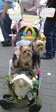 Thousands of people, including the Easter Bunny, stroll along Monument Avenue for what may be the final edition of Easter on Parade. Yorkshire terriers Lucy, 9, left, and Desi, 5, happily pause for photos in their carriage decorated by their owner, Robin Weil of Henrico County.
