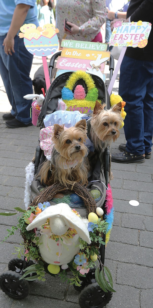 Thousands of people, including the Easter Bunny, stroll along Monument Avenue for what may be the final edition of Easter on Parade. Yorkshire terriers Lucy, 9, left, and Desi, 5, happily pause for photos in their carriage decorated by their owner, Robin Weil of Henrico County.