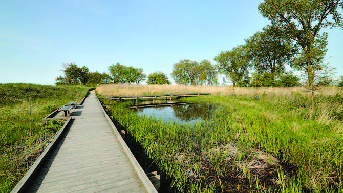 The South Shore Nature Sanctuary (pictured) is a hidden gem on the south lakefront where The Chicago Park District, in partnership with The Nature Conservancy, will host monthly Stewardships Days from now through October. Photo Credit: The Nature Conservancy/Emanuel Love