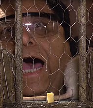 According to the streaming giant, "'Flinch' is a new all action comedy game show with one simple rule: do not flinch."