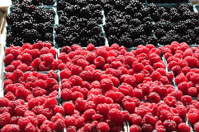 Baltimore County farmers and producers offer high quality fresh local produce, meats, flowers, plants, herbs, milk, ice cream, wine, beer, ... Baltimore County farmers and producers offer high quality fresh local produce, meats, flowers, plants, herbs, milk, ice cream, wine, beer, ...