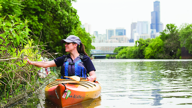 The Shedd Aquarium is hosting its Kayaking for Conservation excursion now through the end of the summer. Photo Credit: Shedd Aquarium