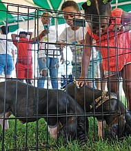 Fun at RVA Community Fun Day/
E.J. Quallis, left, and his sister, Bailey, pet baby pot belly pigs last Saturday at RVA Community Fun Day in Henrico’s Dorey Park. Several hundred people attended the free event sponsored by Real Talk with Monica, Rising Towards Success and Dominion Energy. (Sandra Sellars/Richmond Free Press)