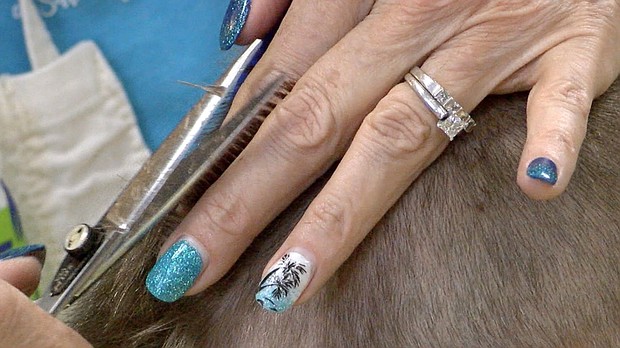 Chloe's, A Salon for Children opened at 101st and Mingo in December of 2017 and offers services for kids with special needs.