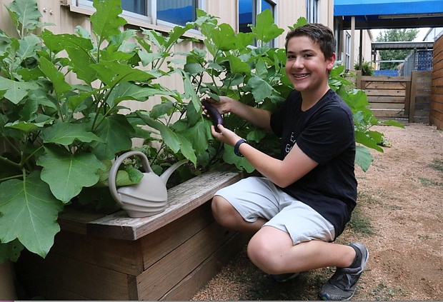 Priyanka Chopra Jonas