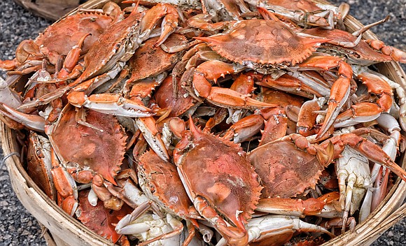 The Men of St. Peter’s Episcopal Church will hold their annual benefit Crab Feast & Fish Fry 3 to 6 ...