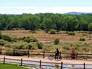 Bike riding through one of the property's trails.