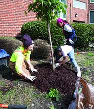Dozens of trees were recently planted at the Greenwood Park Apartments as one of the final touches on a $12 million renovation project. Photo Credit: Preservation of Affordable Housing