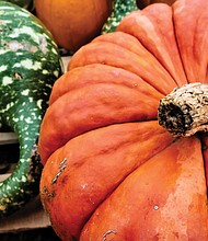 Pumpkins in North Side