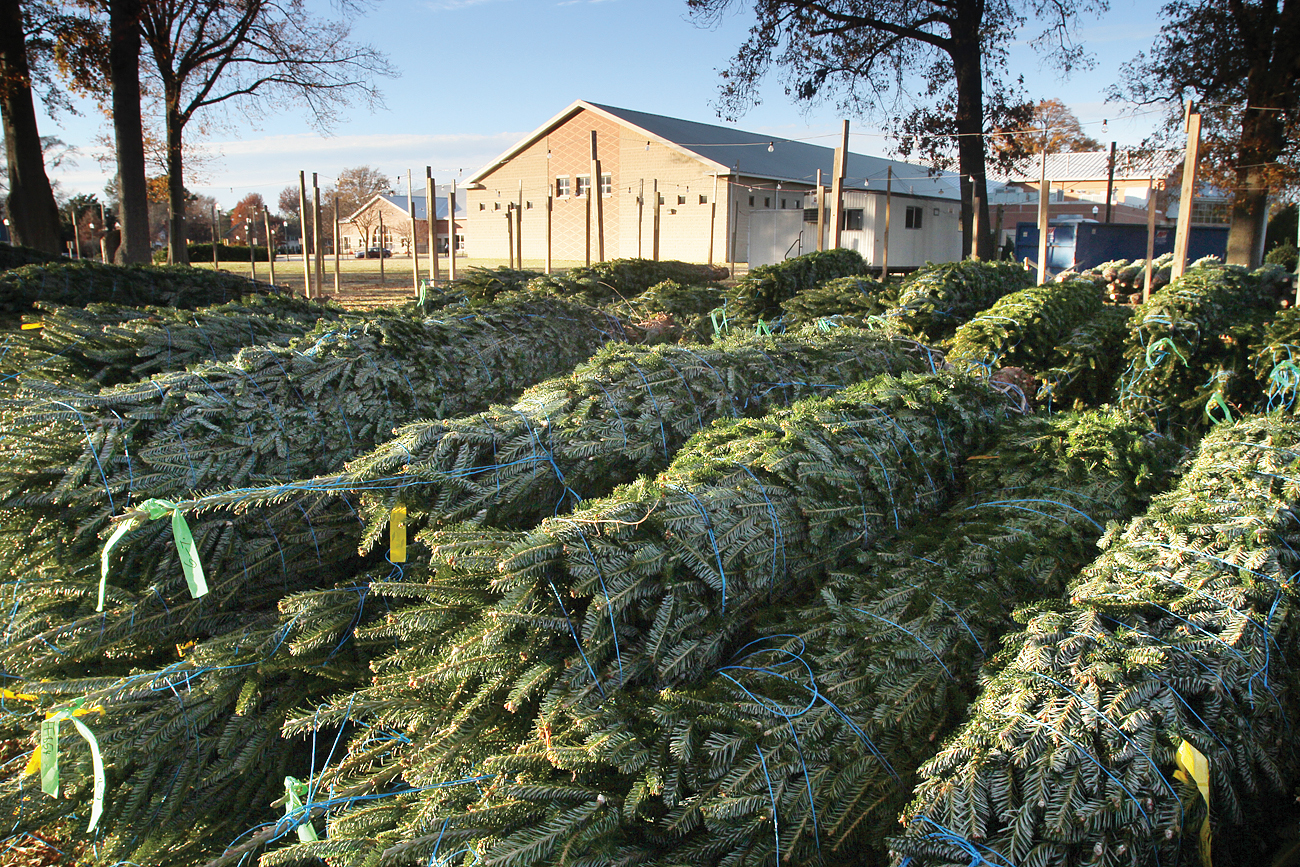 Area Christmas tree disposal, recycling sites announced Richmond Free