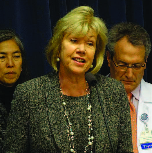 Sen. Julie Morrison, a Democrat from Deerfield, speaks on Feb. 5 during a news event in Springfield about raising the minimum age to purchase tobacco products in Illinois to 21. The legislation passed later in the session. Capitol News Illinois photo by Peter Hancock