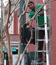 Winter is pruning time, and landscaper George Crump takes advantage of a recent unseasonably warm day to get some pruning done. He is cutting branches of a tree at the corner of Marshall and Adams streets in Jackson Ward.