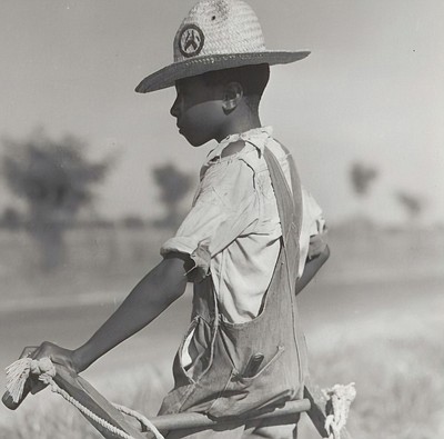 The NNPA began a unique and important partnership with Compassion & Choices to acquire a more in-depth awareness and knowledge ... The NNPA began a unique and important partnership with Compassion & Choices to acquire a more in-depth awareness and knowledge ...