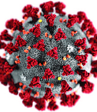 An online dashboard for tracking the worldwide spread of the coronavirus outbreak that began in the Chinese city of Wuhan has been built.