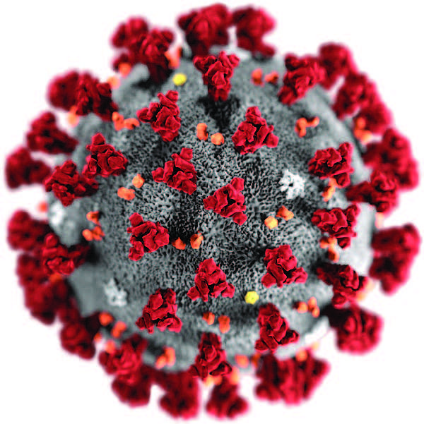 An online dashboard for tracking the worldwide spread of the coronavirus outbreak that began in the Chinese city of Wuhan has been built.
