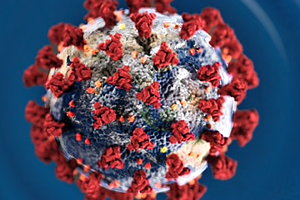The Will County Health Department saw a huge jump in Coronavirus cases over the weekend.