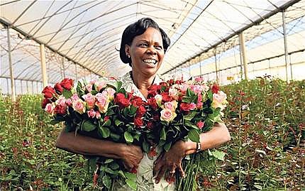 Our spirits were buoyed when we read the story this week by Trice Edney Wire-Global Information Network about flower growers ...