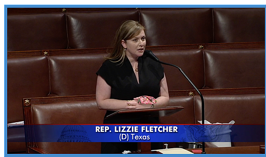 Today, Congresswoman Lizzie Fletcher (TX-07) took to the House floor to speak on the importance of the Patient Protection and ...