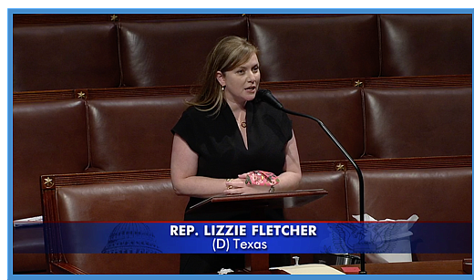 Congresswoman Lizzie Fletcher