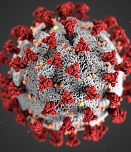Two children in South Carolina have been diagnosed with the coronavirus-related pediatric inflammatory syndrome, according to the state's Department of Health and Environmental Control.
Credit:	Centers for Disease Control and Prevention