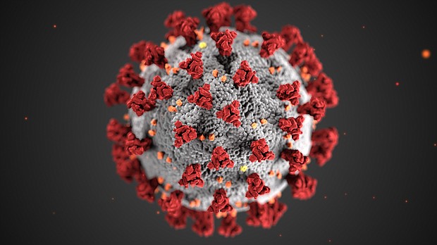 Two children in South Carolina have been diagnosed with the coronavirus-related pediatric inflammatory syndrome, according to the state's Department of Health and Environmental Control.
Credit:	Centers for Disease Control and Prevention