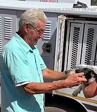 A dog who was rescued by firefighters in the burn area of the Apple Fire in Riverside County has been reunited with his owner.
Credit:	Riverside County Dept. of Animal Services