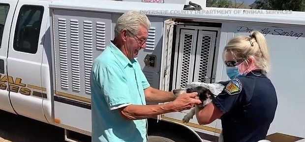 A dog who was rescued by firefighters in the burn area of the Apple Fire in Riverside County has been reunited with his owner.
Credit:	Riverside County Dept. of Animal Services