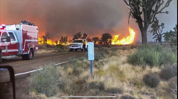 A wildfire at a national preserve near the Nevada-California border has reached 16,000 acres, according to the San Bernardino County …