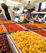 People wear face coverings shop for tomatoes at the Santa Monica Farmers' Market in Santa Monica, California./Credit:	Robyn Beck/AFP/Getty Images