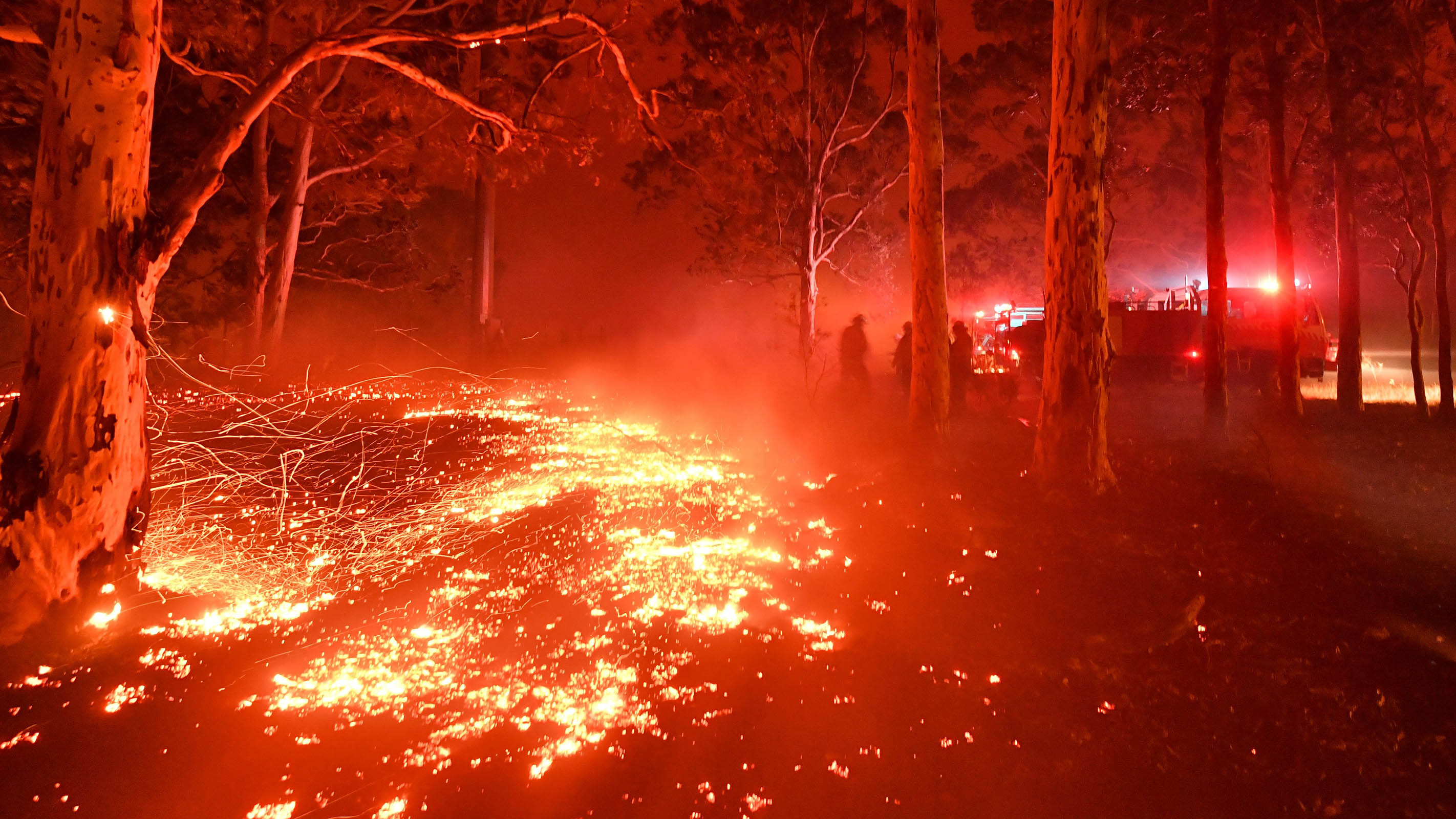 uncompahgre plateau wildfire        
        <figure class=