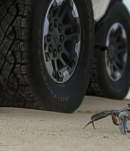 Sometimes the biggest leaps forward are actually diagonal. The world's first all-electric supertruck is coming - the GMC HUMMER EV. See it and reserve it 10.20.20.