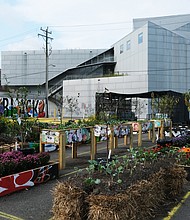 Resiliency Garden at the ICA