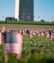 A memorial of flags for those who have died as a result of of Covid-19 on the National Mall./Credit: Alex Edelman/AFP/Getty Images
