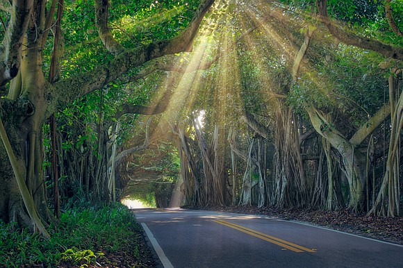 The East Coast is legendary for its landmarks and attractions. Think Statute of Liberty in New York, the Dr. Martin ... The East Coast is legendary for its landmarks and attractions. Think Statute of Liberty in New York, the Dr. Martin ...