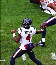 Photo Credit/ Houston Texans