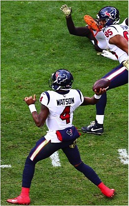 Photo Credit/ Houston Texans
