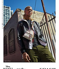 IMAGE CREDIT: © 2020 Alessandro Simonetti