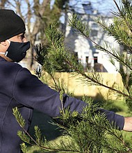 Rei Alvarez picks out a tree at Frank Pichel’s tree lot on Dec. 6. Mr. Pichel cut Charlie Brown-style Christmas trees from his land and sold them for whatever people wanted to pay to benefit the Anna Julia Cooper Episcopal School in Richmond’s East End.