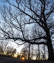 Sunset in Byrd Park