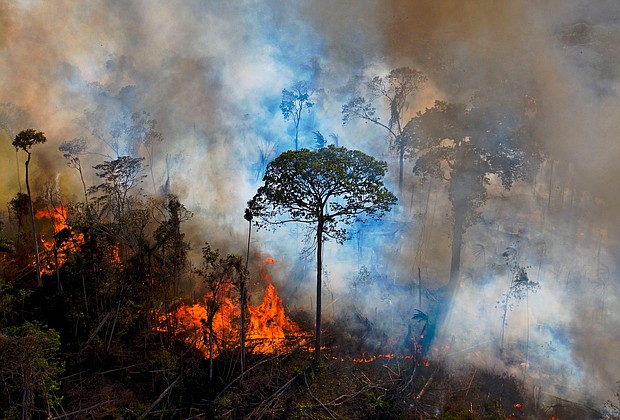 Smoke rises from an illegally lit fire in the Amazon rainforest reserve, south of Novo Progresso in Para state, Brazil, on August 15, 2020.
Mandatory Credit:	Carl de Souza/AFP/Getty Images