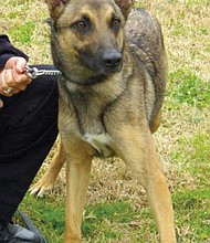 Richmond Police Department K-9 Sara is now retired.