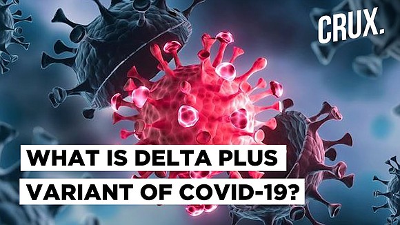 The Delta variant, a more transmissible and possibly more dangerous strain of coronavirus, now makes up more than half of …
