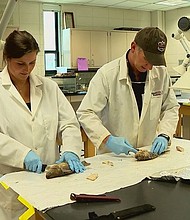 Dr. Shea Tuberty, an Appalachian State aquatic eco-toxicologist and biologist, is challenging regulators with his research on fish that were caught downstream from the American Zinc plant near Forest City.
Mandatory Credit:	WLOS