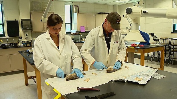 Dr. Shea Tuberty, an Appalachian State aquatic eco-toxicologist and biologist, is challenging regulators with his research on fish that were caught downstream from the American Zinc plant near Forest City.
Mandatory Credit:	WLOS