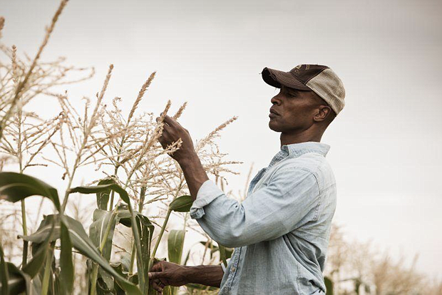Lancaster Farming’s Phil Gruber discusses how USDA’s $4 billion loan forgiveness program
for socially disadvantaged farmers may leave Black farmers disappointed yet again.